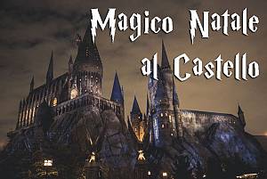 Magico natale al castello